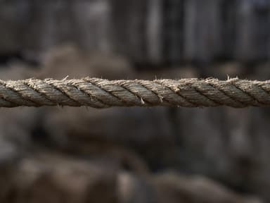 a thick hemp rope pulled taut across the frame, both ends out of view, frayed fibers catching low side light